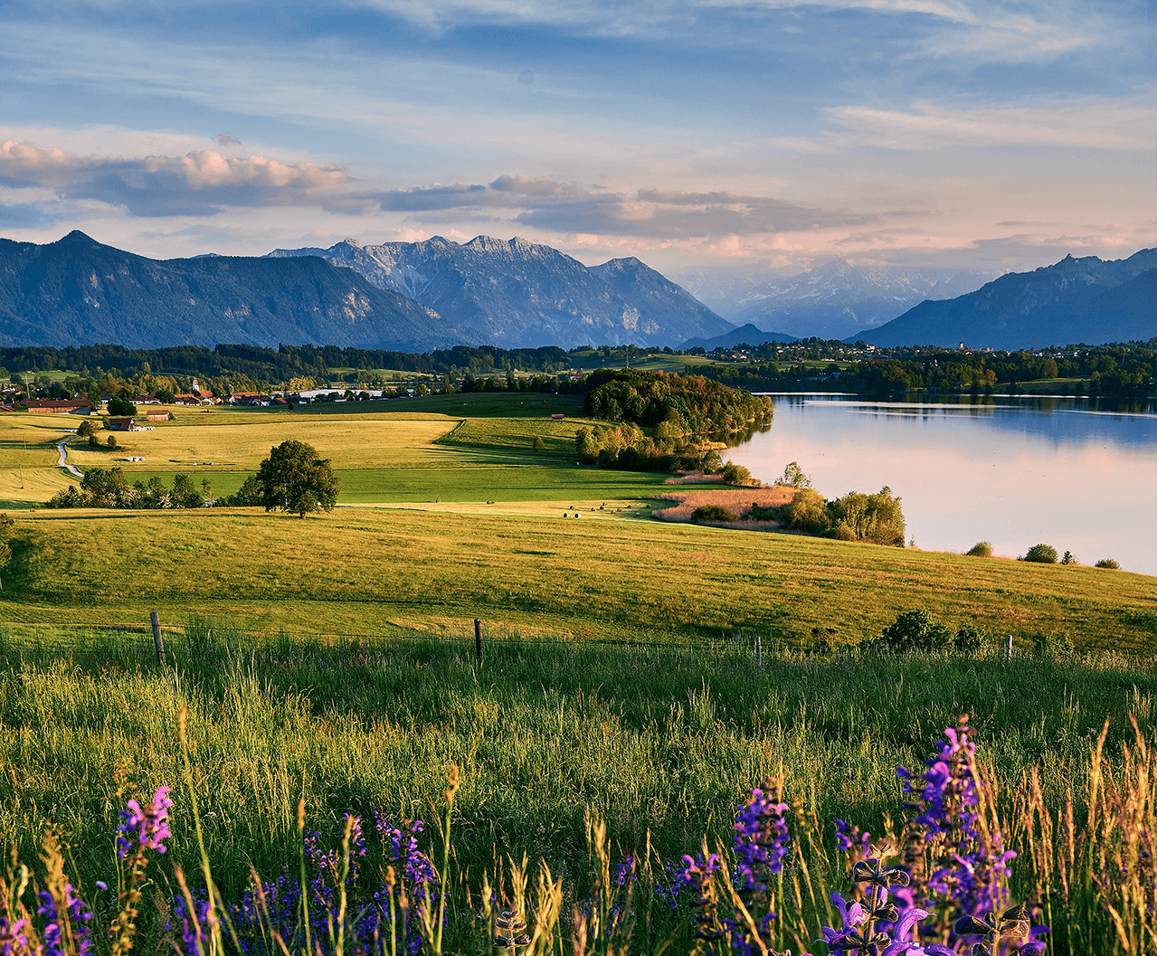 2121�Ƿ���(�й���)�����ٷ���վ