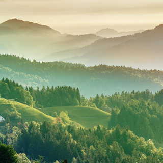 2121�Ƿ���(�й���)�����ٷ���վ