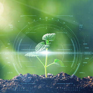 2121�Ƿ���(�й���)�����ٷ���վ