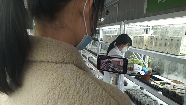 ����ֱ����������������������������������������