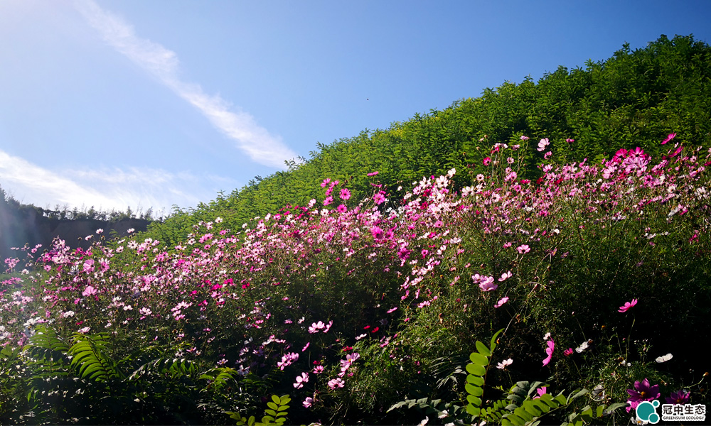 �����޸���