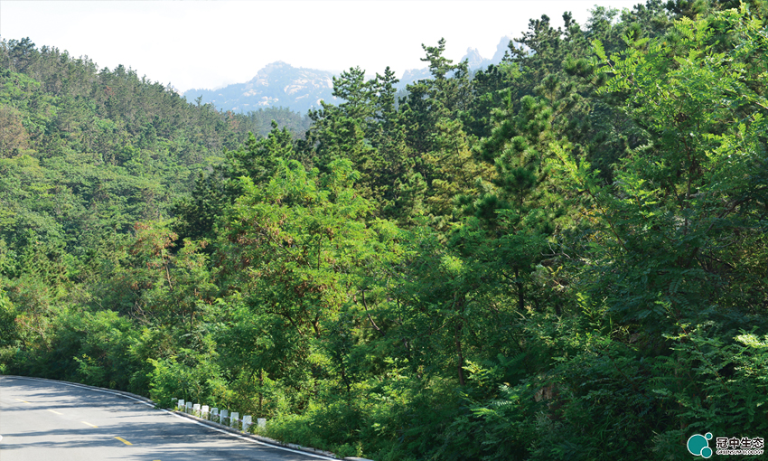 2121�Ƿ���(�й���)�����ٷ���վ