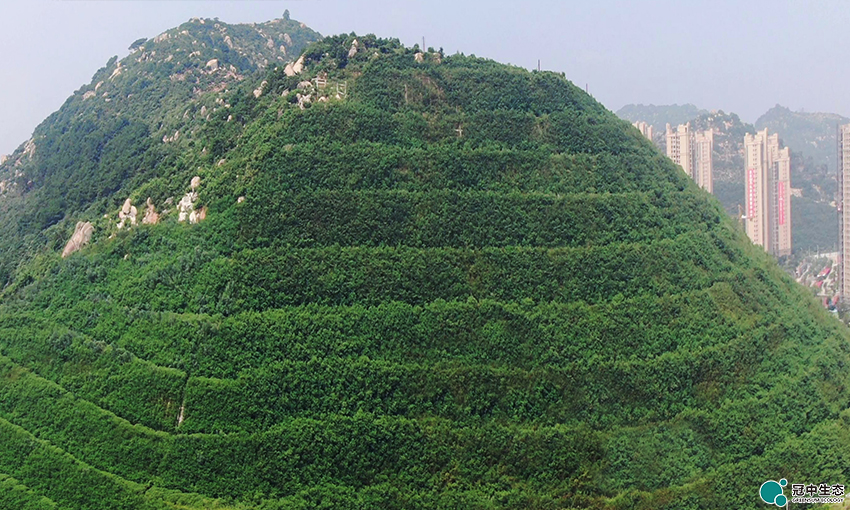 2121�Ƿ���(�й���)�����ٷ���վ