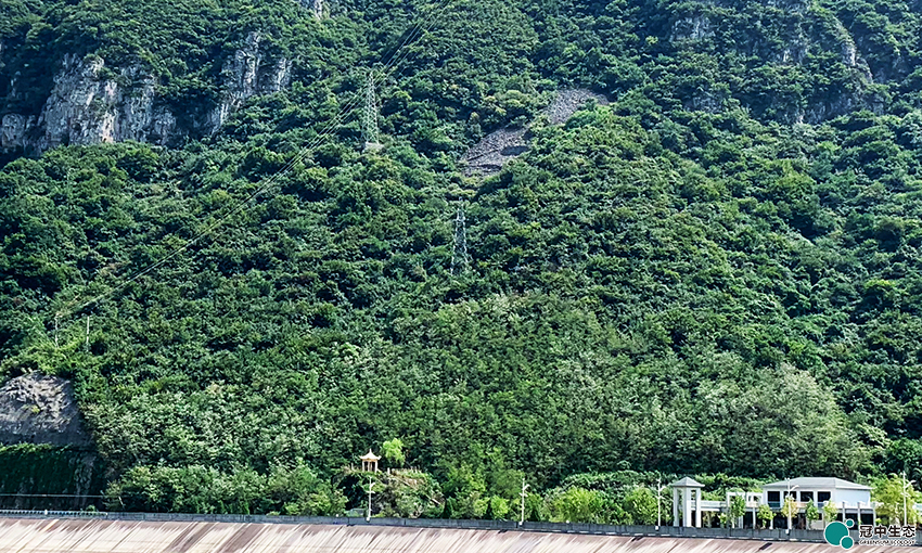 2121�Ƿ���(�й���)�����ٷ���վ