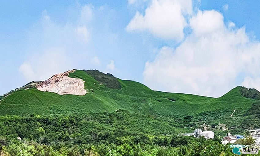 2121�Ƿ���(�й���)�����ٷ���վ