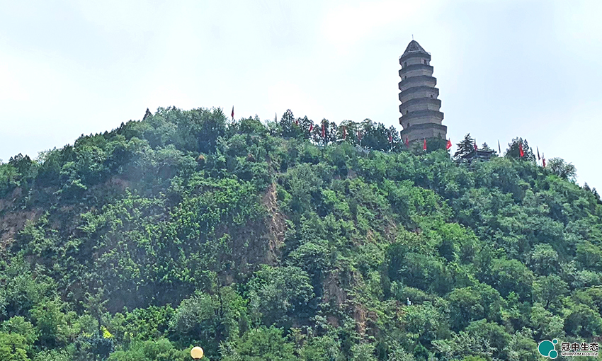 2121�Ƿ���(�й���)�����ٷ���վ