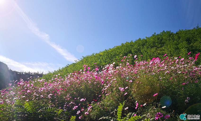 2121�Ƿ���(�й���)�����ٷ���վ