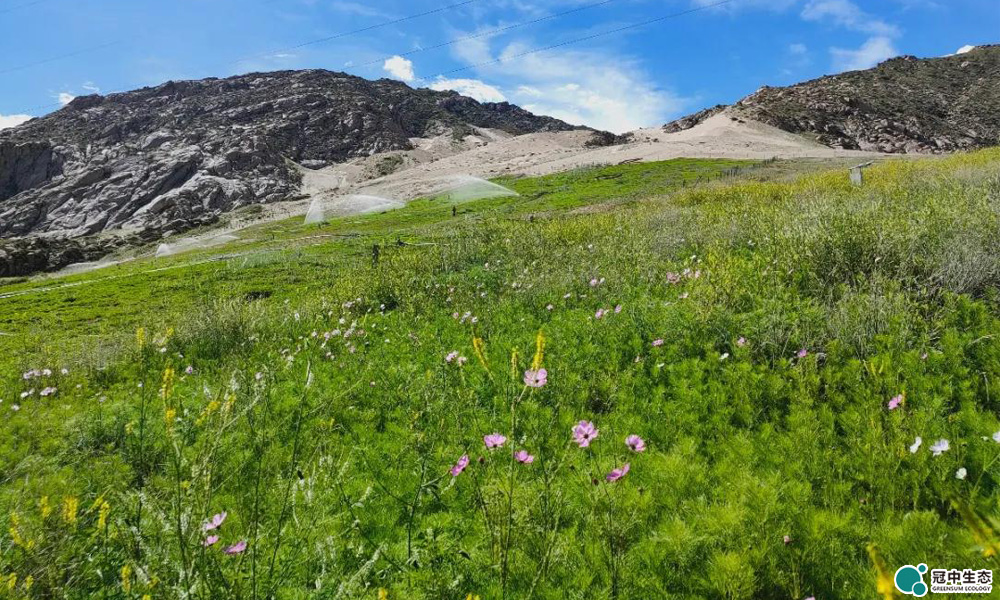 2121�Ƿ���(�й���)�����ٷ���վ