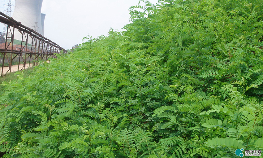 2121�Ƿ���(�й���)�����ٷ���վ