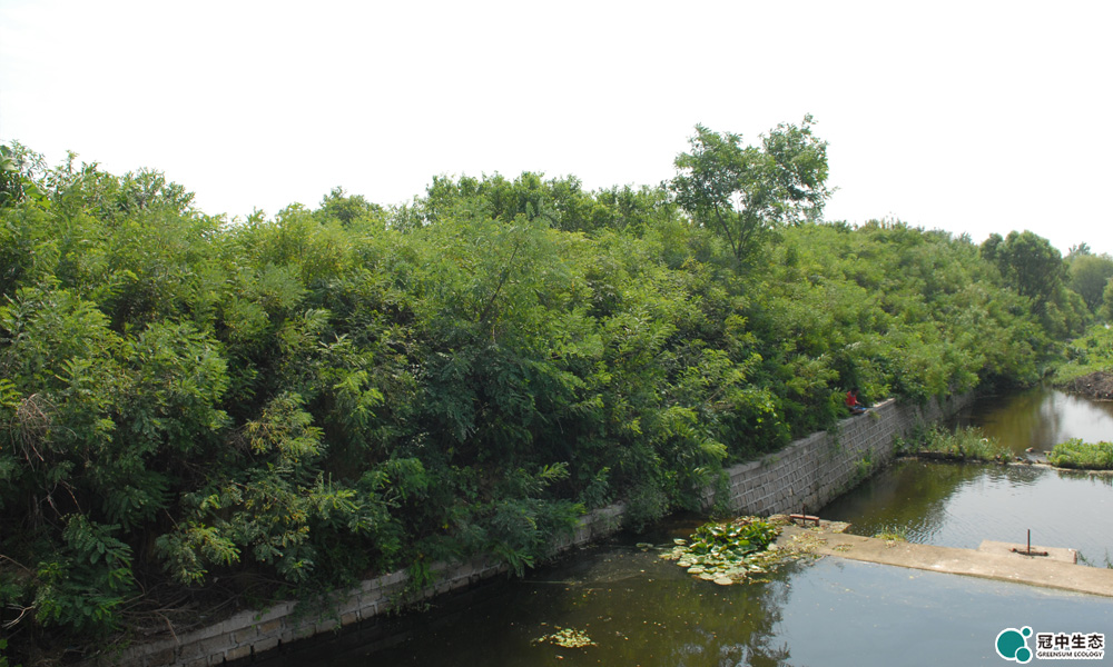 2121�Ƿ���(�й���)�����ٷ���վ