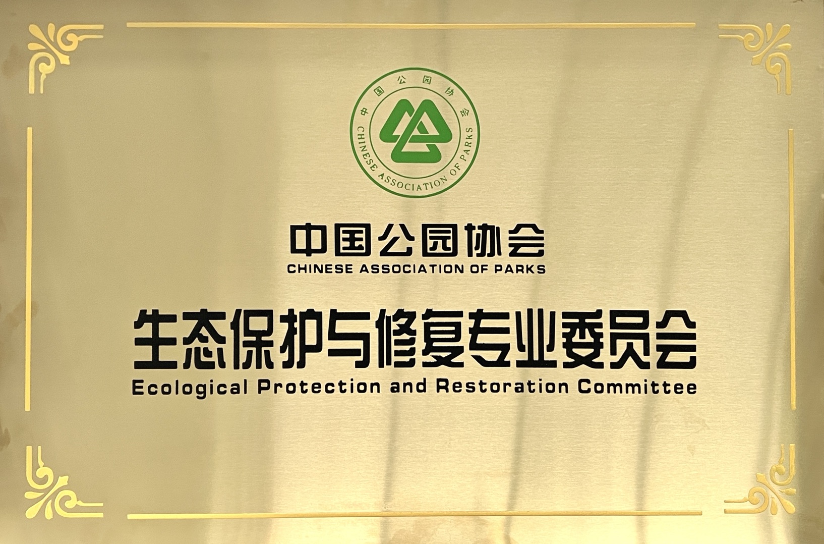 2121�Ƿ���(�й���)�����ٷ���վ