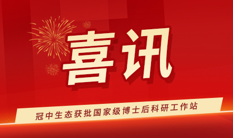 2121�Ƿ���(�й���)�����ٷ���վ